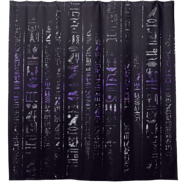 Grunge Amethyst and Silver Egyptian hieroglyphics Shower Curtain (Front)