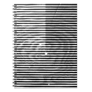grunge art abstract rough random horizontal lines  notebook