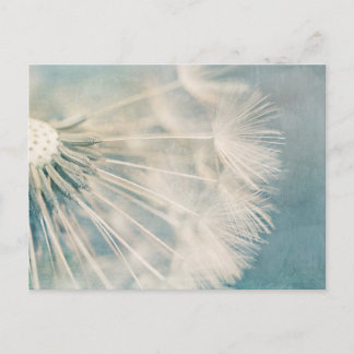 Grunge Dandelion Postcard