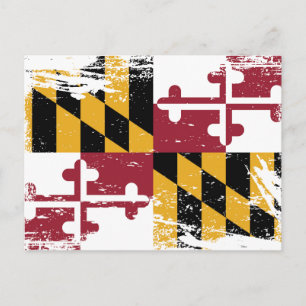 Grunge Maryland Flag Postcard