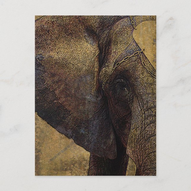 Grunge Parchment Majestic African Elephant Postcard (Front)