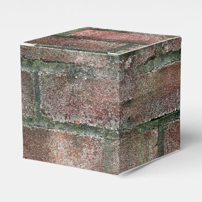 Grungy Dirty Moldy Brick Wall  Favour Box (Front Side)