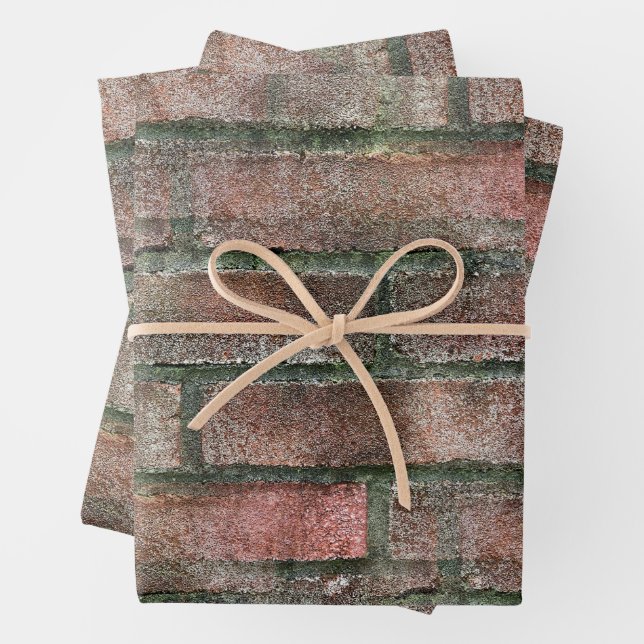 Grungy Dirty Moldy Brick Wall  Wrapping Paper Sheet (In situ)
