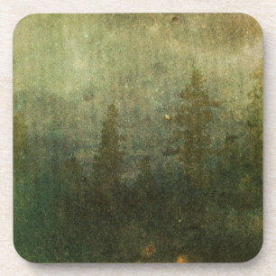 Grungy Pine Forest Coaster