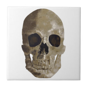 Grungy Skull Tile