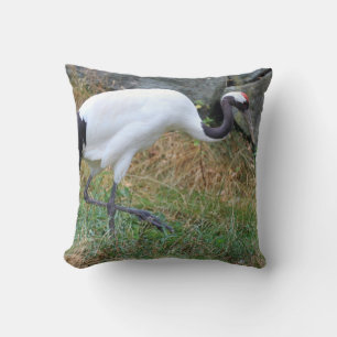 Grus japonensis cushion