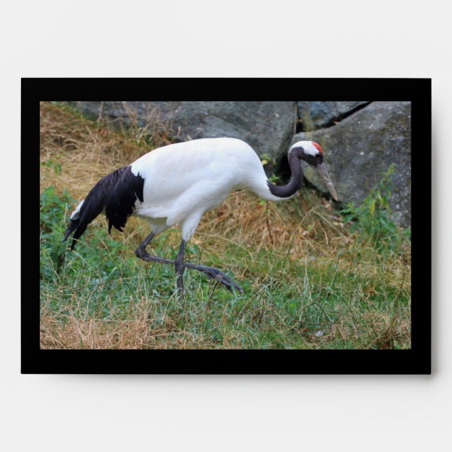 Grus japonensis envelope (Front)