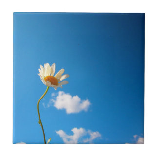 Gryd Basis Daisy Tile