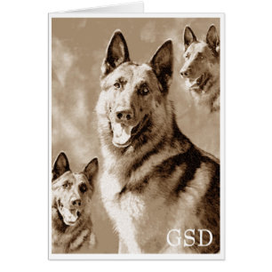 GSD Defined