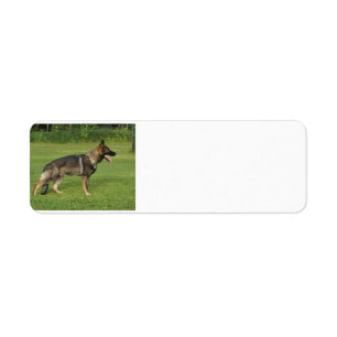 gsd full sable