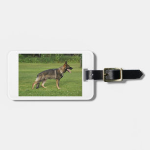 gsd full sable luggage tag