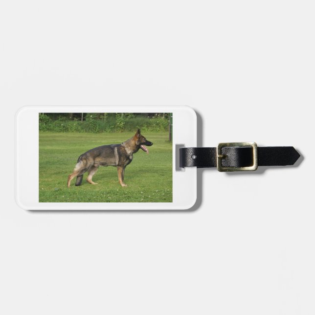 gsd full sable luggage tag (Front Horizontal)