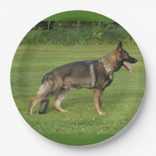 gsd full sable paper plate