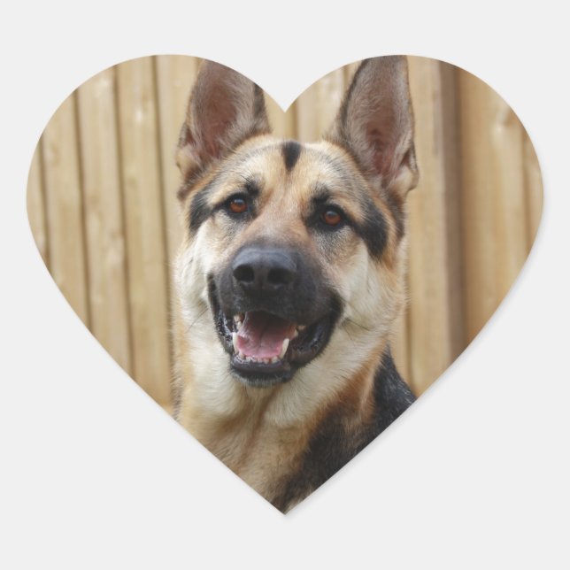 GSD Head Shot Heart Sticker (Front)