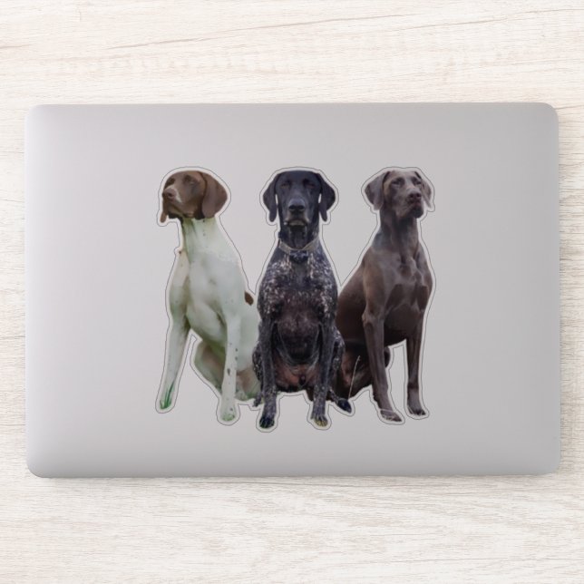 (GSP) Deutsch Kurzhaar Sticker (Computer)