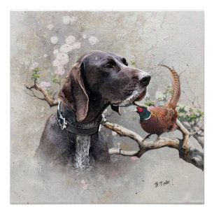 GSP Hunting Art – Precision, Passion, and Pheasant Poster