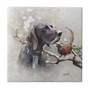 GSP Hunting Art – Precision, Passion, and Pheasant Tile