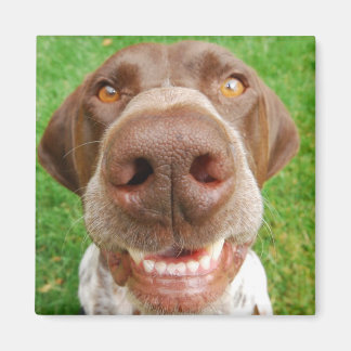GSP Smile Magnet