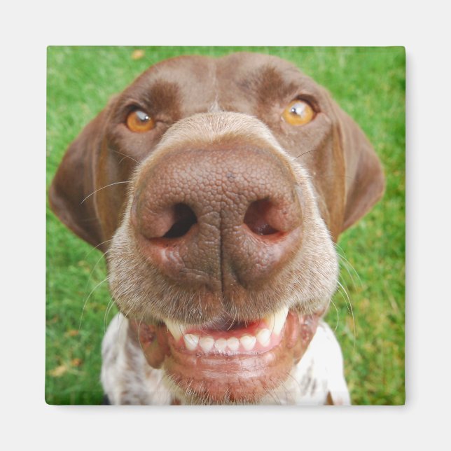 GSP Smile Magnet (Front)