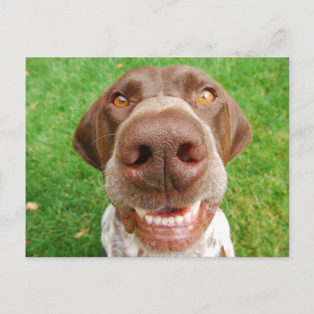 GSP Smile Postcard (Front)