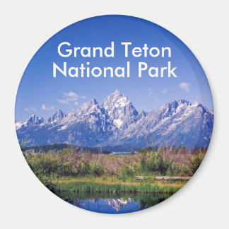 GTNP2 Products Magnet