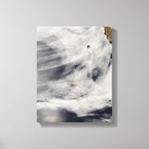 Guadalupe Island Canvas Print