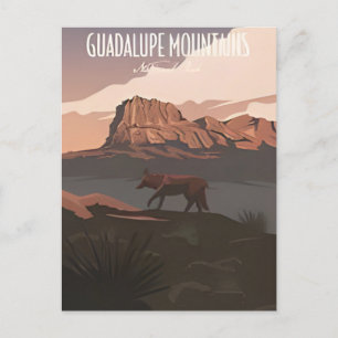 Guadalupe Mountains National Park Texas Vintage Postcard