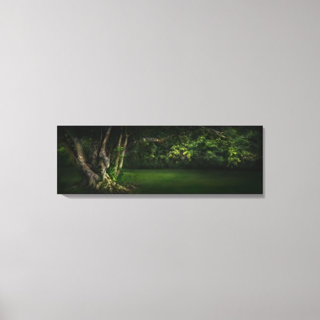 GUAM Banyan tree and Breadfruit tree Canvas Print (Front)