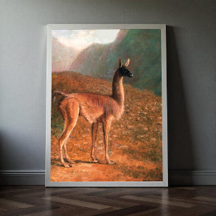Guanaco (ca. 1848) painting  by Jacques–Laurent Ag Poster