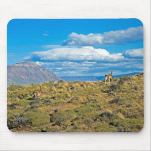 Guanaco Country, Patagonia Mouse Pad