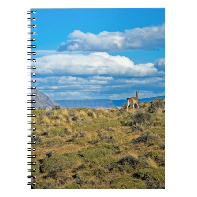 Guanaco Country, Patagonia Notebook (Front)