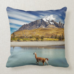 Guanaco crossing the river in Torres del Paine Cushion