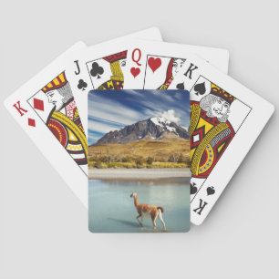 Guanaco crossing the river in Torres del Paine Playing Cards