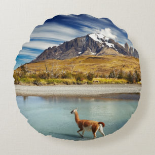 Guanaco crossing the river in Torres del Paine Round Cushion