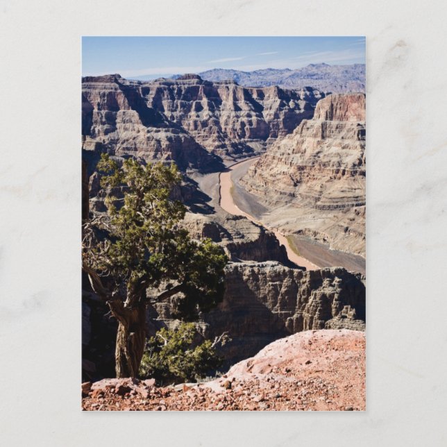 Guano Point -postcardcopy Postcard (Front)