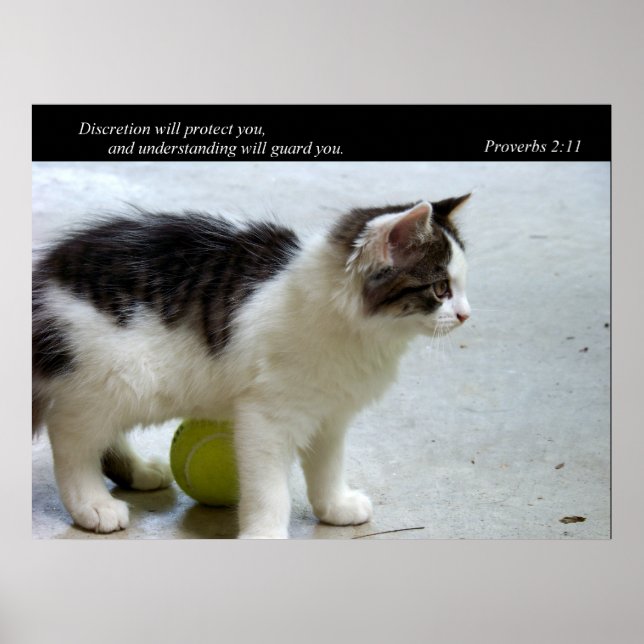 Guard You (Cat) Fine Art Print (Front)