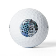 Guardian of the Digital Realm 