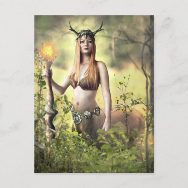 Guardian of the Forest - Postcard (Front)