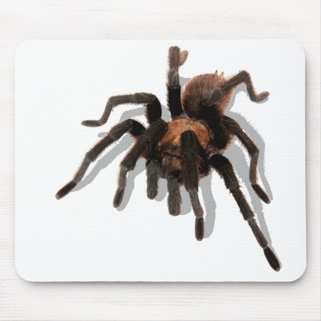 Guardian Tarantula Mouse Pad (Front)