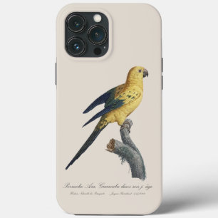 Guarouba dans sons jeune age / Sun parakeet  iPhone 13 Pro Max Case