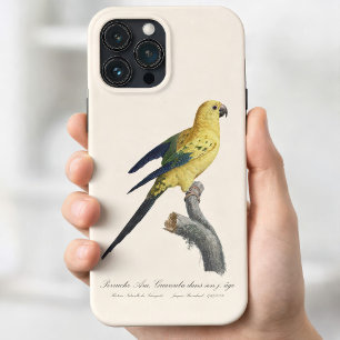 Guarouba dans sons jeune age / Sun parakeet  iPhone 13 Pro Max Case