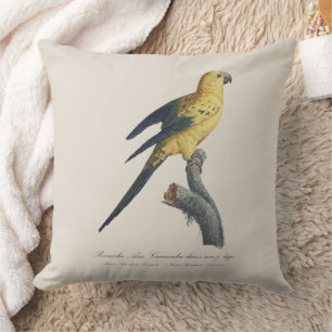 Guarouba dans sons jeune age / Sun parakeet  Cushion