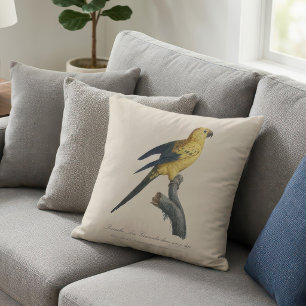 Guarouba dans sons jeune age / Sun parakeet  Cushion