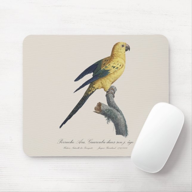 Guarouba dans sons jeune age / Sun parakeet  Mouse Pad (With Mouse)