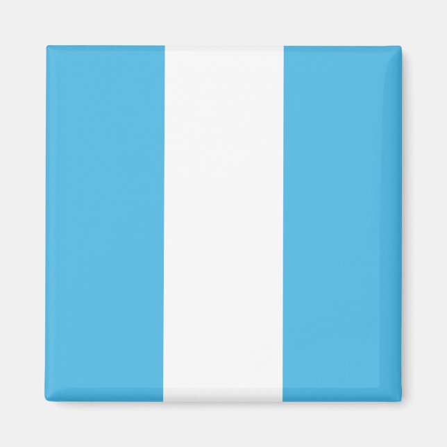 Guatemala Flag Magnet (Front)