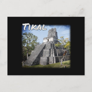 Guatemala Tikal Ruins Temple Postcard