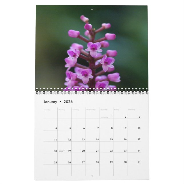 Guatemalan Orchids Calendar (Jan 2026)