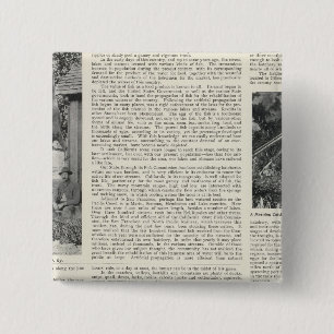 Guerneville, California 15 Cm Square Badge