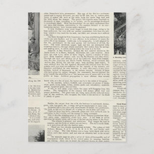 Guerneville, California Postcard