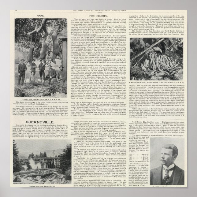 Guerneville, California Poster (Front)